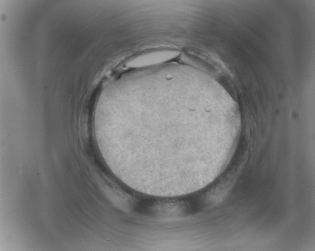 X0000079340299200612151914