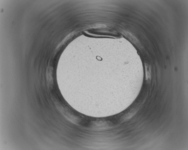 X0000079340300200612151914