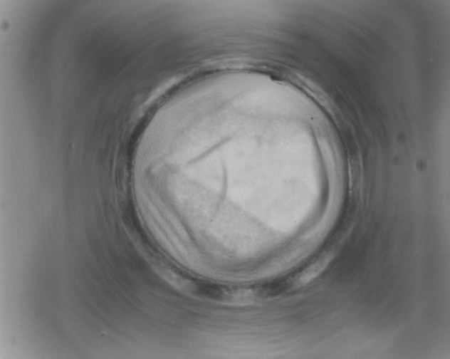 X0000079340301200612151914