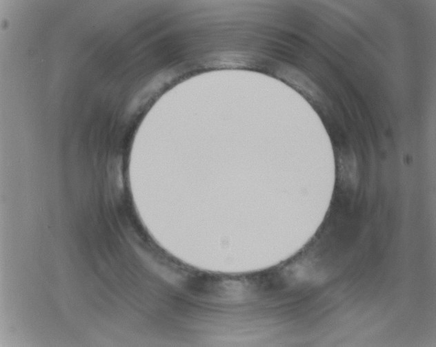 X0000079340302200612151914