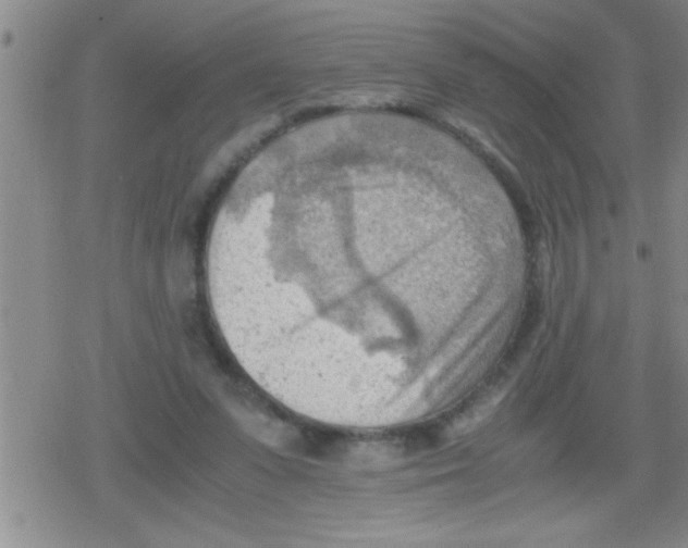 X0000079340303200612151914