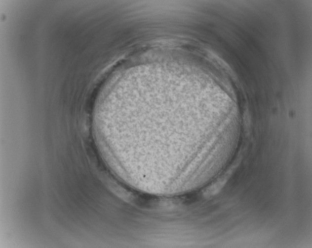 X0000079340305200612151914