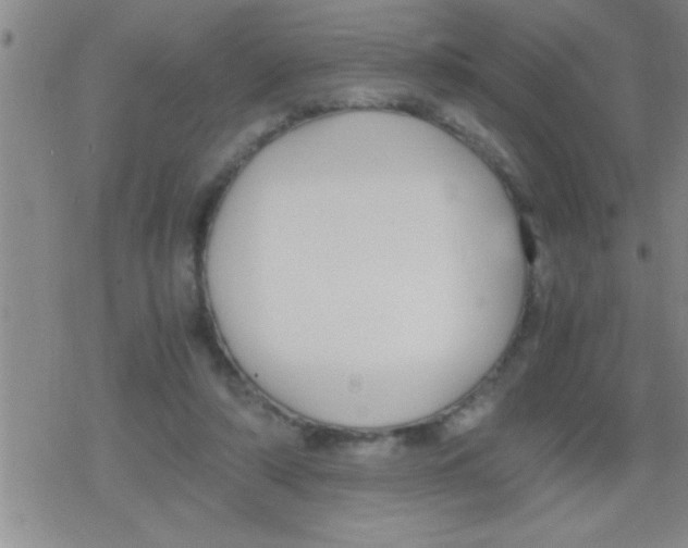 X0000079340306200612151914