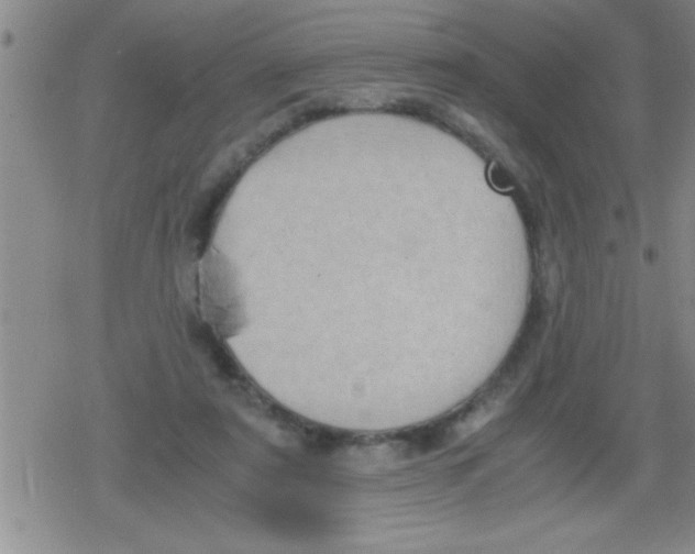 X0000079340307200612151914