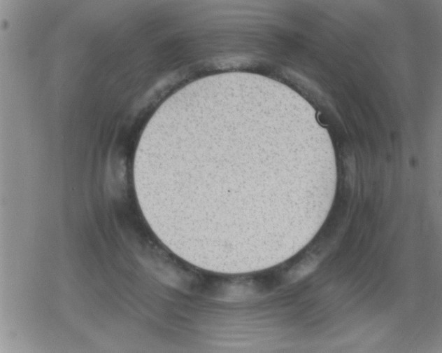 X0000079340308200612151914