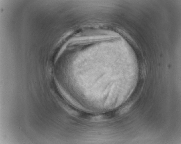 X0000079340309200612151914