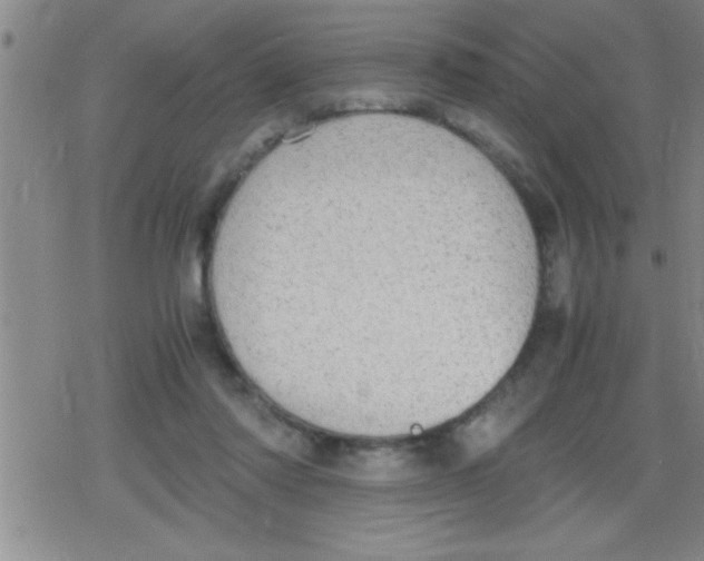 X0000079340310200612151914