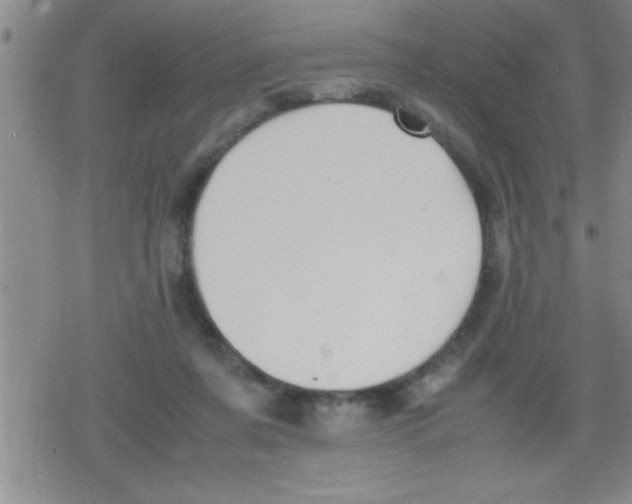 X0000079340311200612151914