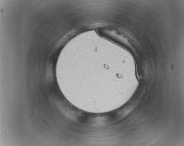 X0000079340312200612151914