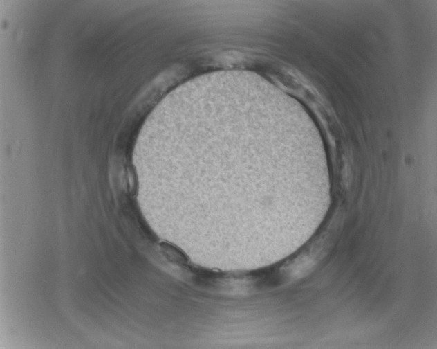 X0000079340313200612151914