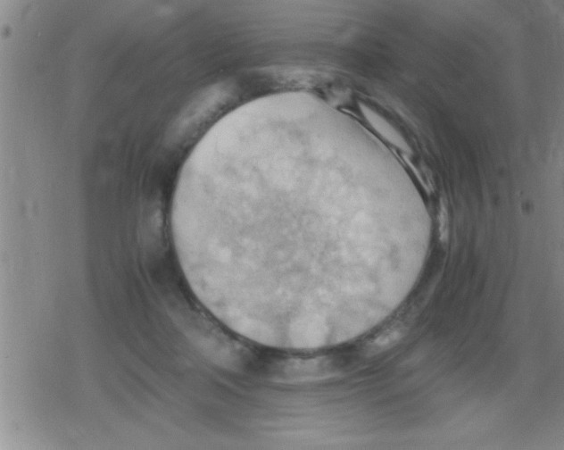 X0000079340314200612151914