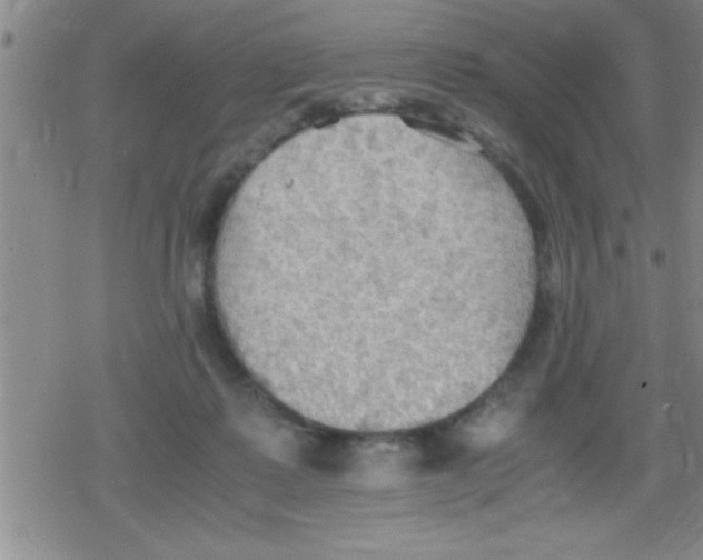 X0000079340315200612151914