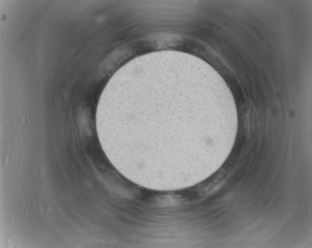 X0000079340316200612151914