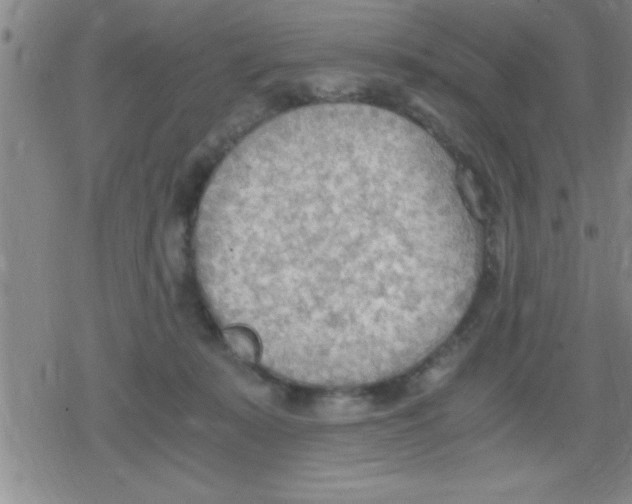 X0000079340319200612151914