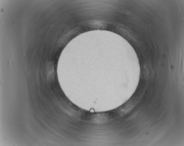 X0000079340320200612151914