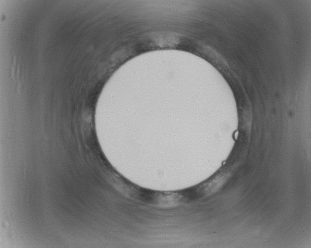 X0000079340321200612151914