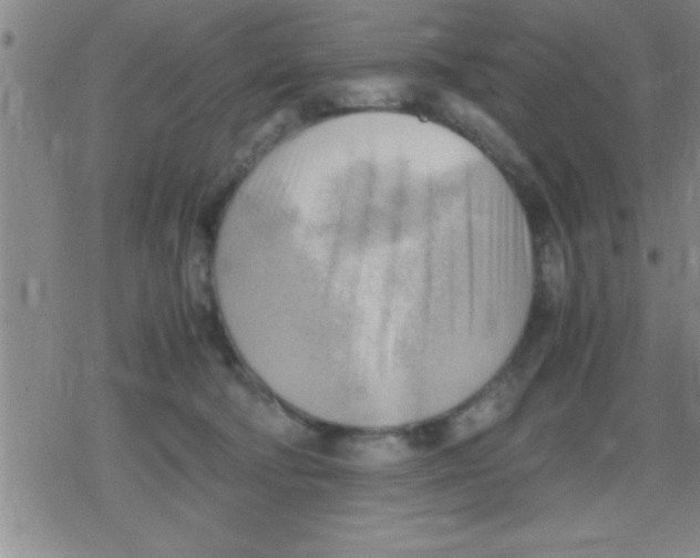 X0000079340322200612151914