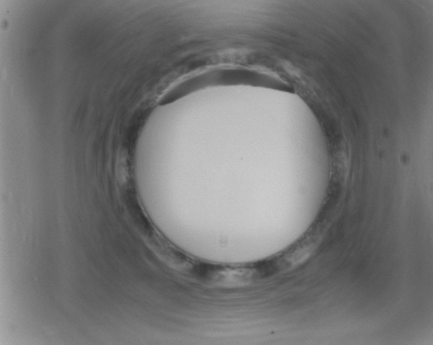 X0000079340323200612151914