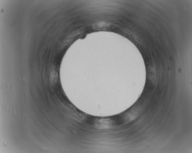 X0000079340324200612151914