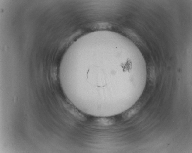 X0000079340326200612151914