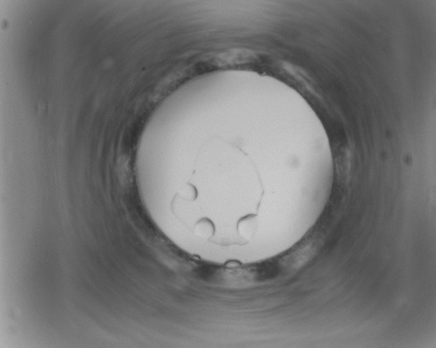 X0000079340327200612151914