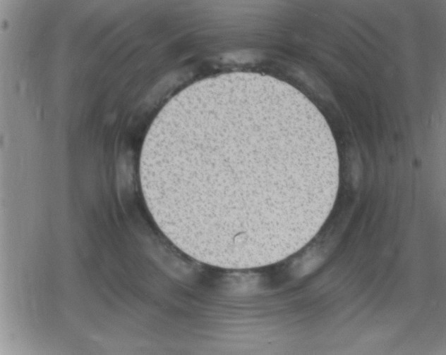 X0000079340328200612151914