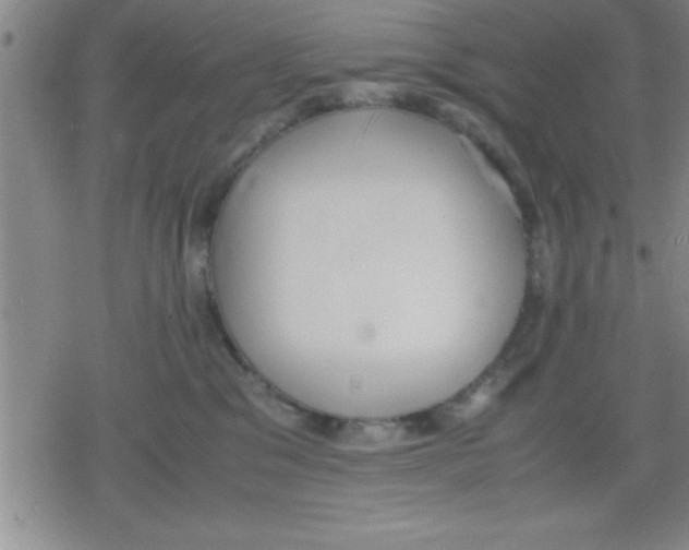 X0000079340329200612151914