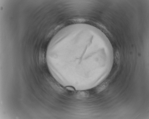 X0000079340330200612151914