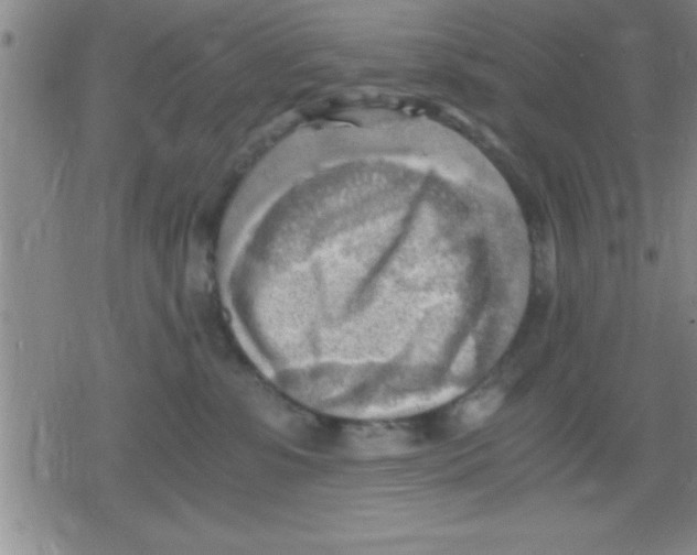 X0000079340331200612151914