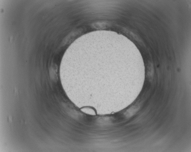 X0000079340332200612151914