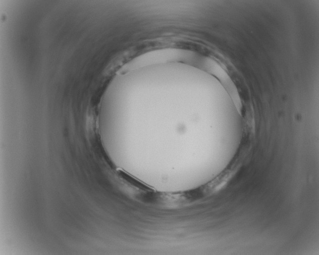 X0000079340333200612151914