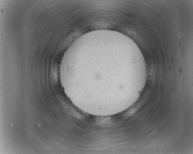 X0000079340334200612151914