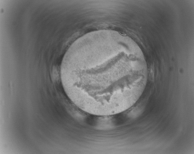 X0000079340335200612151914