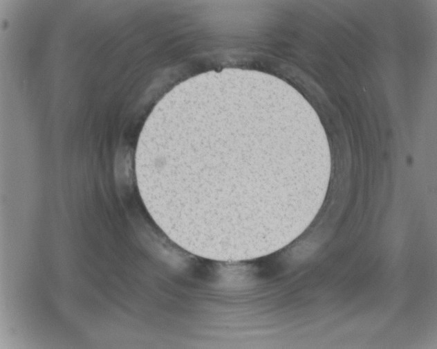 X0000079340336200612151914