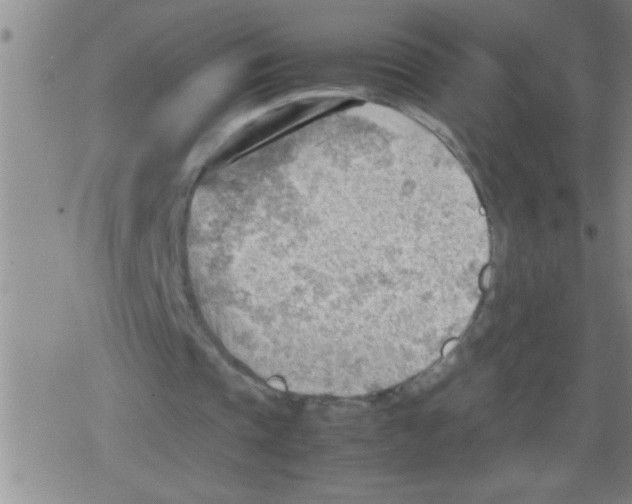 X0000079340337200612151913