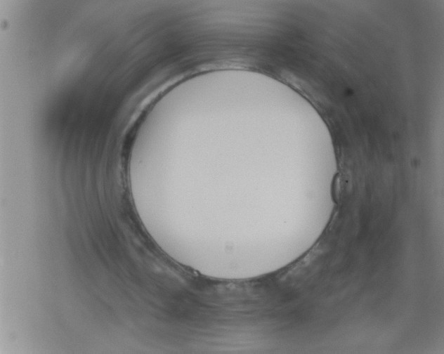 X0000079340338200612151913