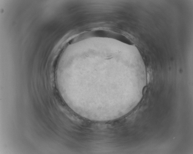 X0000079340339200612151913