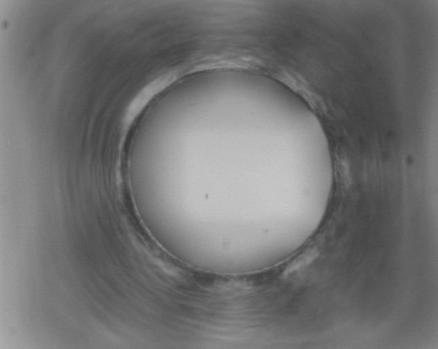 X0000079340340200612151913