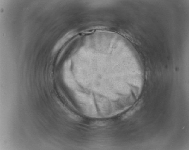 X0000079340341200612151913