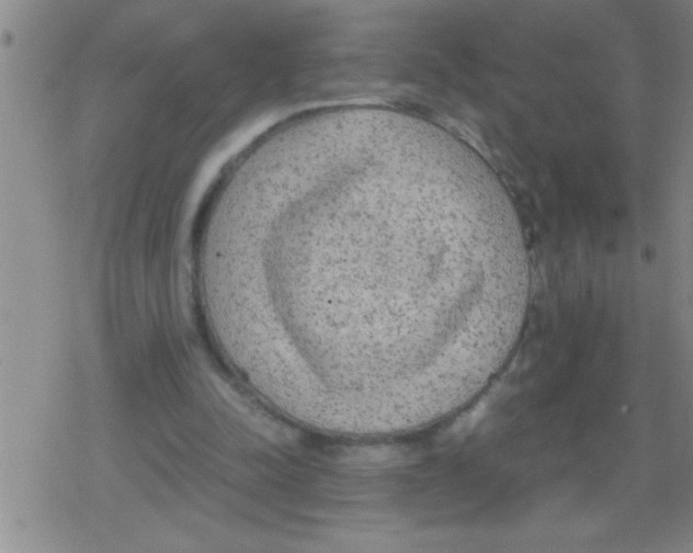 X0000079340342200612151913