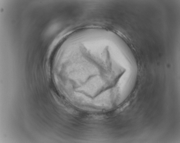 X0000079340343200612151913