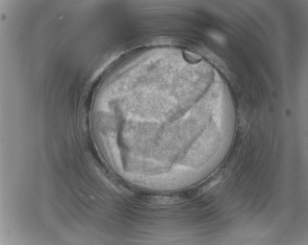 X0000079340347200612151913