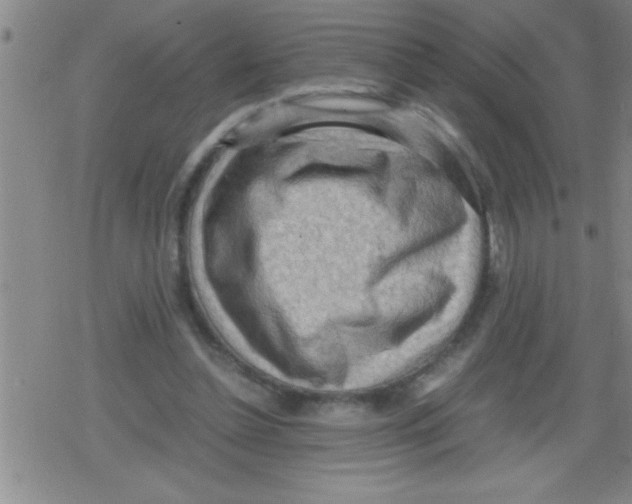 X0000079340348200612151913