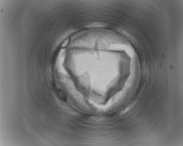 X0000079340351200612151913