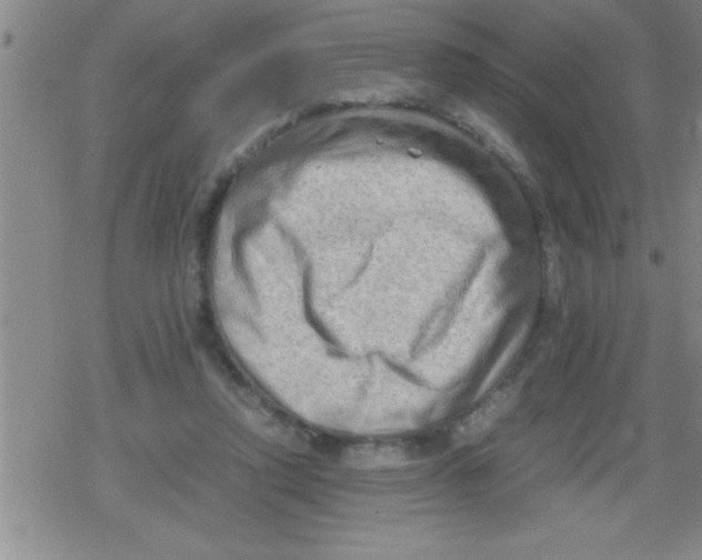 X0000079340354200612151913