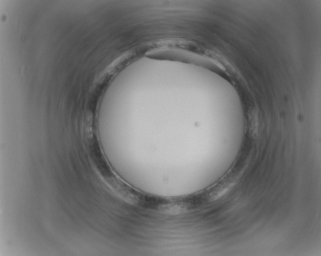 X0000079340356200612151913