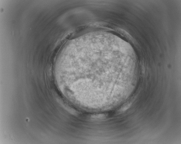 X0000079340357200612151913