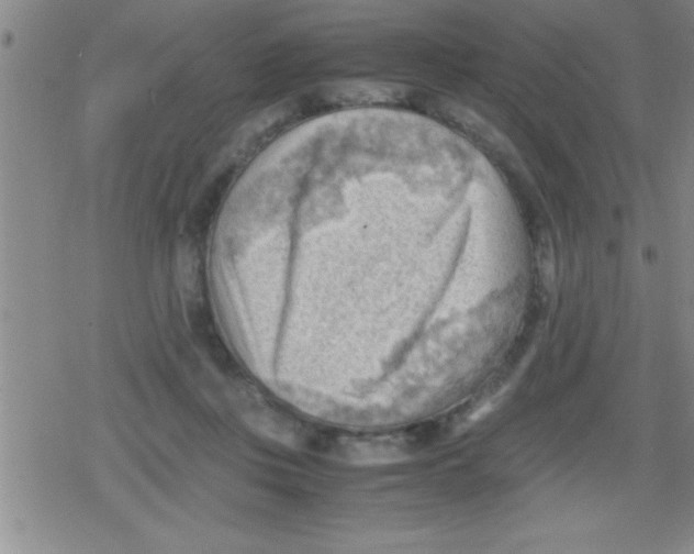 X0000079340359200612151913