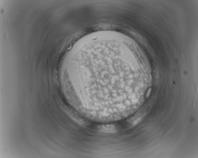 X0000079340361200612151913