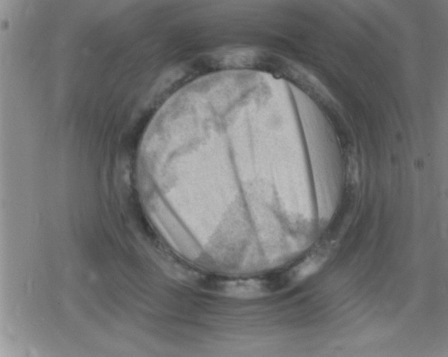 X0000079340363200612151914